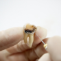Periodontia